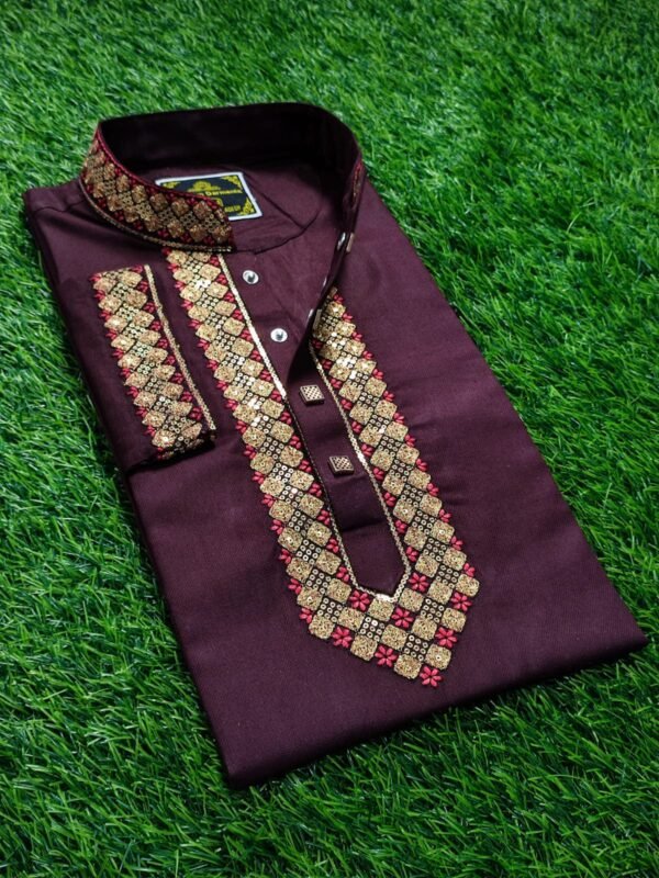 Premium Panjabi 7 - Image 2